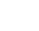 logo BST Tour & Travel white